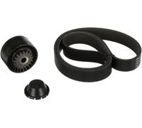 Kit Cinghie Poly-V GATES K017PK1035 per RENAULT CLIO
