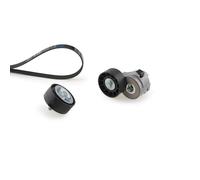 Kit Cinghie Poly-V GATES K017PK1325 per IVECO DAILY III Camionnette