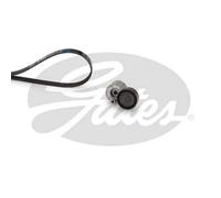 Kit Cinghie Poly-V GATES K026PK1203 per RENAULT CLIO