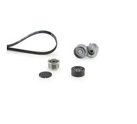 Kit Cinghie Poly-V GATES K166PK1795 per RENAULT TRAFIC