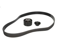 Kit cinghie poly-V INA 529 0016 10 per RENAULT CLIO IV (BH_) 1.2 2012-2021