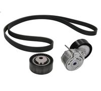 Kit cinghie poly-V INA 529 0017 10 per PEUGEOT 406 (8B) 2 1998-2001
