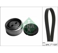 Kit cinghie poly-V INA 529 0087 10 per VW PASSAT B5 (3B2) 2.5 1998-2