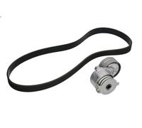 Kit cinghie poly-V INA 529 0088 10 per RENAULT SCENIC II (JM0/1_) 2 2004-2008