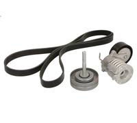 Kit cinghie poly-V INA 529 0090 10 per SEAT CORDOBA (6L2) 1.2 2002-2006