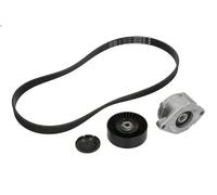 Kit cinghie poly-V INA 529 0102 10 per VW VENTO (1H2) 1.9 1991-1998