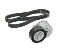 Kit cinghie poly-V INA 529 0105 10 per FORD KUGA I 2 2008-2012