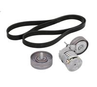 Kit cinghie poly-V INA 529 0108 10 per SEAT LEON (1M1) 1.4 1999-2006