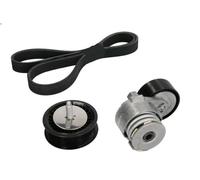 Kit cinghie poly-V INA 529 0165 10 per DACIA LOGAN (LS_) 1.5 2006-2012
