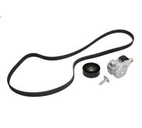 Kit cinghie poly-V INA 529 0183 10 per PEUGEOT 406 (8B) 2 1999-2