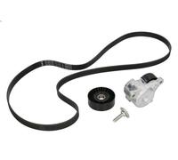 Kit cinghie poly-V INA 529 0184 10 per PEUGEOT 407 (6D_) 2 2004-2005