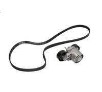 Kit cinghie poly-V INA 529 0206 1 per BMW 3 (E90) 2 2004-2011