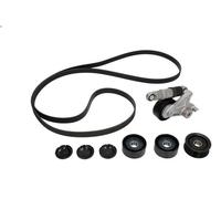 Kit cinghie poly-V INA 529 0209 10 per AUDI Q7 (4LB) 3 2006-201