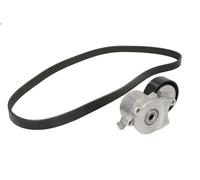 Kit cinghie poly-V INA 529 0262 10 per SUBARU JUSTY IV 1 2007-2012