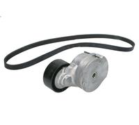 Kit cinghie poly-V INA 529 0291 10 per CITROEN DS5 2 2011-2015