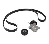 Kit cinghie poly-V INA 529 0352 10 per NV400 Furgone (X62, X62B) 2.3 2011-2016