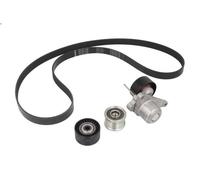 Kit cinghia trapezoidale multirighe con puleggia a ruota libera 529 0423 20 INA