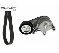 Kit cinghie poly-V INA 529 0483 10 per BMW 1 (F21) 2 2011-2019