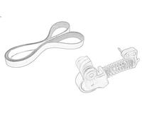 Kit cinghie poly-V OE VOLVO 31480361 per VOLVO XC40 (536) 2 2018-2021