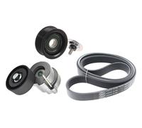 Kit Cinghie Poly-V per ALFA ROMEO GIULIA STELVIO