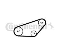 Kit Cinghie Poly-V per AUDI A4 A6