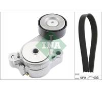 Kit Cinghie Poly-V per AUDI SEAT SKODA VW A1 ALHAMBRA BEETLE CC EOS FABIA GOLF G