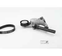 Kit Cinghie Poly-V per AUDI SEAT SKODA VW A3 BORA CADDY CORDOBA VARIO GOLF GOLF