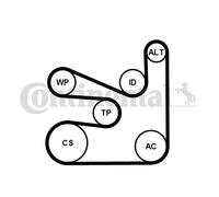 Kit Cinghie Poly-V per BMW 1 2 3 4 5 7 X3 X4 X5
