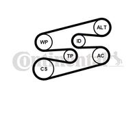 Kit Cinghie Poly-V per BMW 3 X1