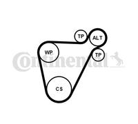 ContiTech Kit cinghie Poly-V 8PK954 EXTRA K1 per BMW, MINI - con attrezzo