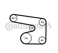 Kit Cinghie Poly-V per CHEVROLET DAEWOO OPEL VAUXHALL ASTRA CALIBRA CAVALIER LEG