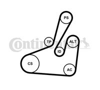 Kit Cinghie Poly-V per CITROËN FIAT PEUGEOT 307 407 607 806 807 C5 C8 EVASION EX