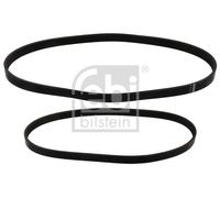 Kit Cinghie Poly-V per FORD FIESTA FUSION