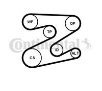 Kit Cinghie Poly-V per LAND ROVER MG ROVER 75 FREELANDER MG ZT MG ZT-