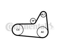 Set di cinghie Poly-V CONTINENTAL 6PK1180K4