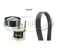 Kit Cinghie Poly-V PROCODIS KGA3003 per VW POLO 1.6 TDI