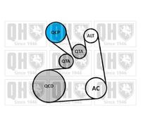 Kit Cinghie Poly-V QUINTON HAZELL QDK128 per NISSAN QASHQAI 1.6 dCi