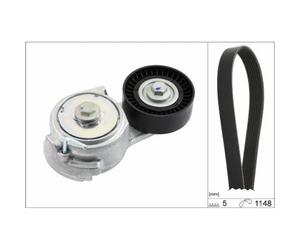 Kit Cinghie Poly V Schaeffler Ina 529 0013 10 per Alfa Romeo Fiat Ford Lancia
