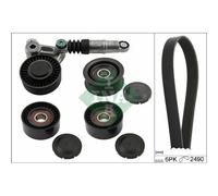 Ina Kit cinghia trapezoidale multirighe 529 0209 10 Poly-V per AUDI A6 C6 Avant A8 D3