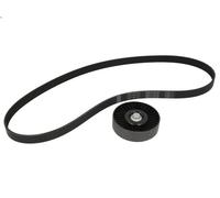 Kit cinghie poly-V SKF VKMA 65038 per KIA CARENS IV 1.6 2013-2016