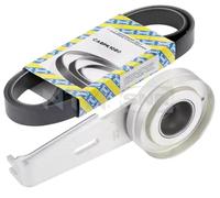 Kit Cinghie Poly-V SNR KA866.06 per PEUGEOT 306 1.8 16V