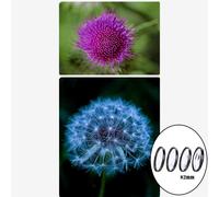 Kit Close-up da 4 pezzi +1 +2 +4 +10 accessori macro 82mm
