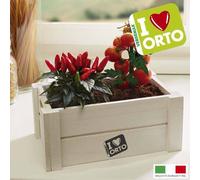 KIT COLTIVAZIONE EASYORTO DI VERDEMAX - PEPERONCINO E POMODORINO