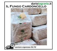 KIT COLTIVAZIONE FUNGHI CARDONCELLI PANI DI FUNGO CARDONCELLO SUBSTRATO TERRICCI
