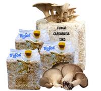 Kit Coltivazione Funghi Cardoncelli, Pleutorus Eryngii, Fungo della Murgia Pugliese Ceppo 146, Micelio Biologico di Prima Scelta,4 Ballette da 3 Kg (12Kg)
