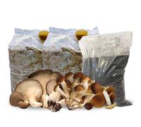 Kit Coltivazione Funghi con 2 Ballette (1 Cardoncello + 1 Pioppino) e Sacchetto da 3 Kg di Terriccio Arricchito Biologico - MADE IN ITALY