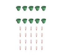 Kit Coltivazione per radice di Fragola Set Completo 10 Tazze 20 Forchette per