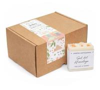 Kit come fare sapone da sali himalayani materiali e istruzioni (Modello - etichetta sapone artigianale)