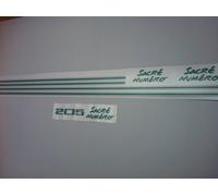 Kit Completo, Adesivi, Peugeot 205 Sacro Numero Modello 1 Verde