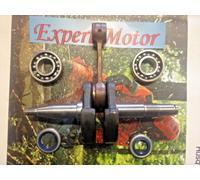 KIT COMPLETO ALBERO MOTORE PER MOTOSEGA HUSQVARNA 362 365 371 372 XP E JONSERE